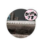 ダム大好きスタンプ（個別スタンプ：12）