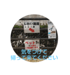 ダム大好きスタンプ（個別スタンプ：16）
