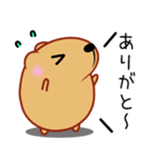 きゃぴばら【よく使う言葉】（個別スタンプ：31）