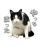 RIRI＆RON⑭（個別スタンプ：1）