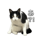 RIRI＆RON⑭（個別スタンプ：2）