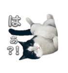 RIRI＆RON⑭（個別スタンプ：5）