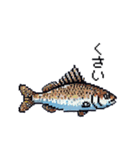 たのしい！ドット水族館！（個別スタンプ：22）