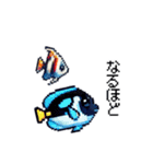 たのしい！ドット水族館！（個別スタンプ：27）