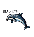たのしい！ドット水族館！（個別スタンプ：29）