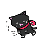 無難に使える 猫スタンプ みにまりゅ（個別スタンプ：37）