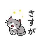 文字大きめ ねこスタンプ4（個別スタンプ：5）