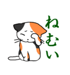 文字大きめ ねこスタンプ4（個別スタンプ：19）