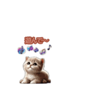 マンチカン子猫の動くスタンプ（個別スタンプ：5）