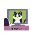 本音で語る猫スタンプ 2（個別スタンプ：11）