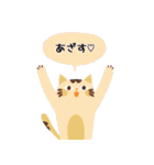 本音で語る猫スタンプ 2（個別スタンプ：14）