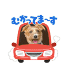 ジャックと楽しい仲間たち（個別スタンプ：7）