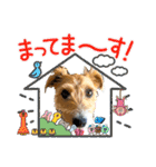 ジャックと楽しい仲間たち（個別スタンプ：13）