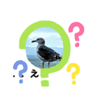 ジャックと楽しい仲間たち（個別スタンプ：31）