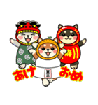 カメ柴#年中行事（個別スタンプ：1）