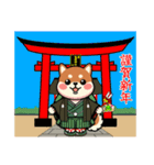 カメ柴#年中行事（個別スタンプ：2）