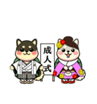 カメ柴#年中行事（個別スタンプ：3）