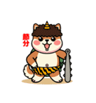 カメ柴#年中行事（個別スタンプ：4）