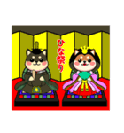 カメ柴#年中行事（個別スタンプ：10）