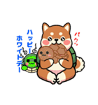 カメ柴#年中行事（個別スタンプ：11）