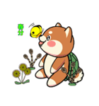 カメ柴#年中行事（個別スタンプ：12）