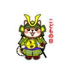 カメ柴#年中行事（個別スタンプ：15）