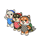 カメ柴#年中行事（個別スタンプ：16）