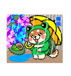 カメ柴#年中行事（個別スタンプ：19）