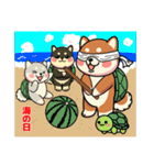 カメ柴#年中行事（個別スタンプ：22）