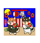 カメ柴#年中行事（個別スタンプ：24）