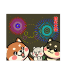 カメ柴#年中行事（個別スタンプ：25）