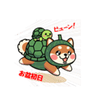 カメ柴#年中行事（個別スタンプ：27）