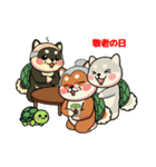 カメ柴#年中行事（個別スタンプ：29）