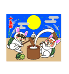 カメ柴#年中行事（個別スタンプ：31）