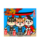カメ柴#年中行事（個別スタンプ：35）