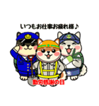 カメ柴#年中行事（個別スタンプ：37）