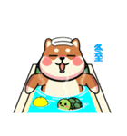 カメ柴#年中行事（個別スタンプ：38）