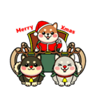 カメ柴#年中行事（個別スタンプ：39）