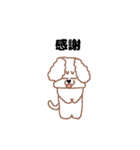トイプードルのトーイ2（個別スタンプ：9）