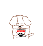 トイプードルのトーイ2（個別スタンプ：11）