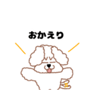 トイプードルのトーイ2（個別スタンプ：13）