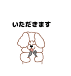 トイプードルのトーイ2（個別スタンプ：14）