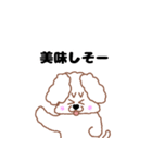 トイプードルのトーイ2（個別スタンプ：16）