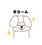 トイプードルのトーイ2（個別スタンプ：19）