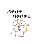 トイプードルのトーイ2（個別スタンプ：20）
