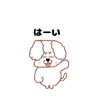 トイプードルのトーイ2（個別スタンプ：23）