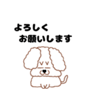 トイプードルのトーイ2（個別スタンプ：34）