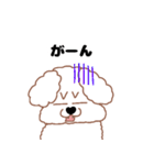 トイプードルのトーイ2（個別スタンプ：38）