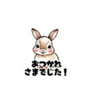 【敬語で挨拶】うさぎの使いやすいスタンプ（個別スタンプ：2）