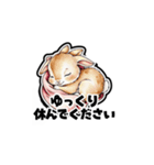 【敬語で挨拶】うさぎの使いやすいスタンプ（個別スタンプ：13）